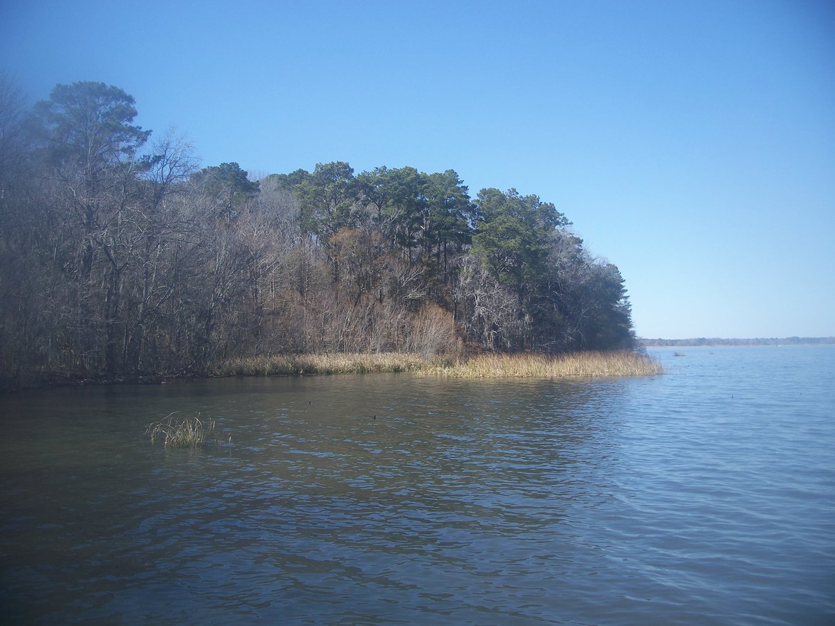Lake Seminole viewed from Three Rivers State Park